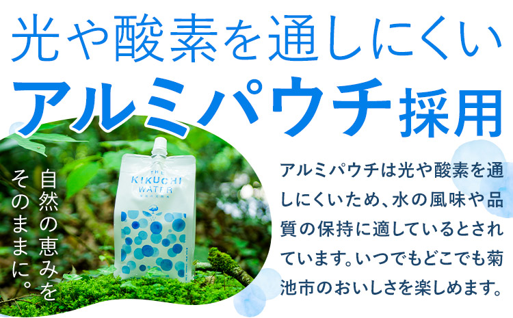 THE KIKUCHI WATER 500ml×30本 定期便 12回 水 飲料水 ミネラルウォーター シリカ 飲料《お申し込み月の翌月から出荷開始》天然水 飲料水 ミネラルウォーター シリカ含有 アルミパウチ パウチ 国産 九州産 熊本県産 菊池市産 送料無料---037-0903---