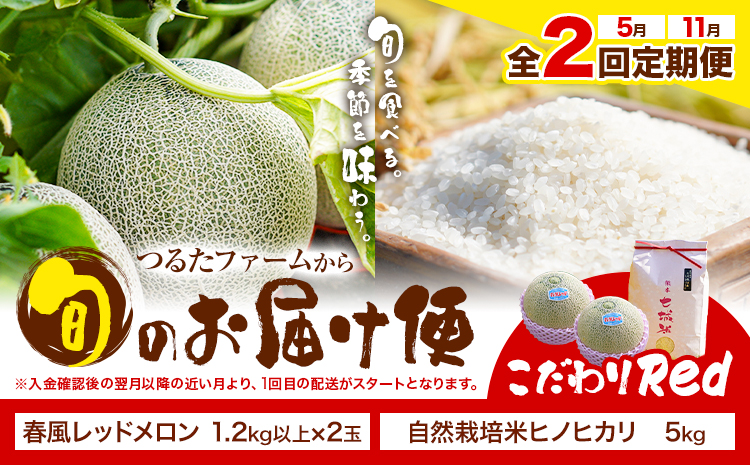 【全2回定期便】つるたファームから旬のお届け便 こだわりRed 自然栽培米 ヒノヒカリ 5kg 春風レッド メロン 2玉 株式会社七城の恵み《メロン5月・米11月出荷予定》熊本県 菊池市 米 メロン ひのひかり 定期便 つるたファーム