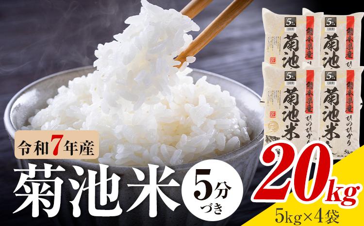 令和7年産 熊本県産 菊池米 5分づき 20kg 1袋5kg 株式会社くまもとごはん 《30日以内に出荷予定(土日祝除く)》米 お米 令和7年産 九州産 熊本県産  送料無料