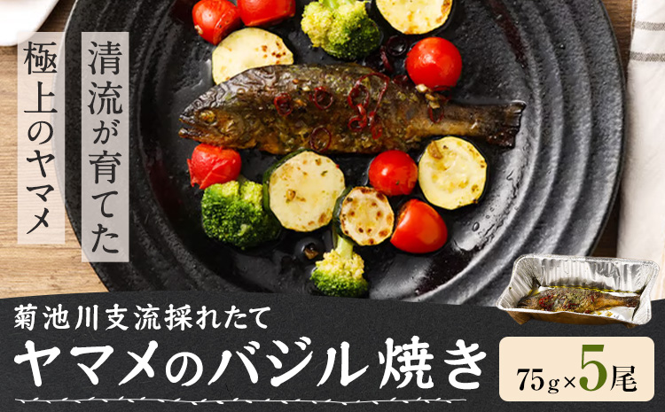 菊池川支流採れたて ヤマメのバジル焼き 75g×5尾 有限会社味万《30日以内に出荷予定(土日祝除く)》熊本県 菊池市 ヤマメ 山女魚 魚 バジル焼き キャンプ BBQ バーベキュー 温めるだけ 個包装 九州産 国産 冷凍 送料無料