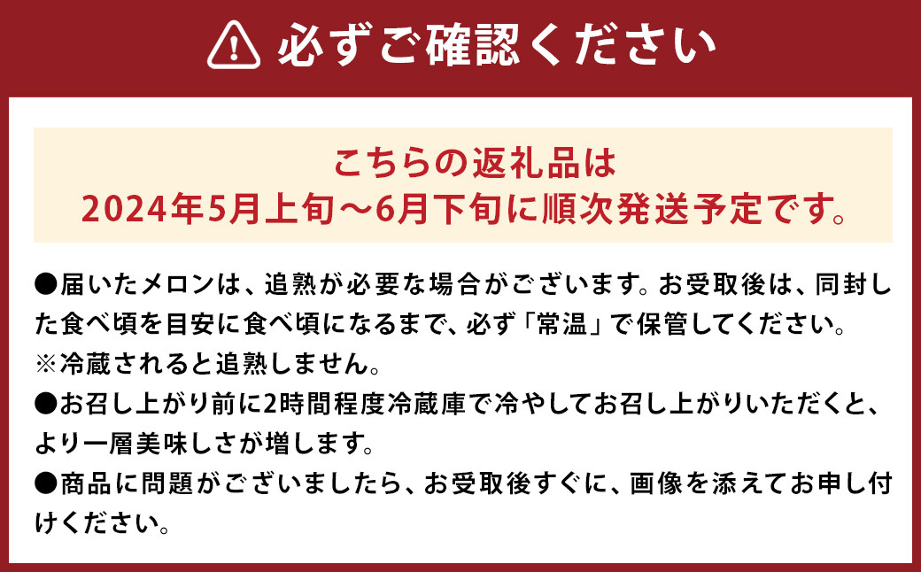 肥後グリーンメロン (中) Lサイズ 2玉【2024年5月上旬～6月下旬発送予定】