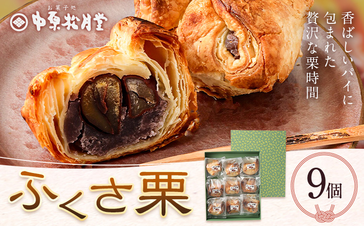 菊池銘菓 ふくさ栗 1箱 9個入り 有限会社中原松月堂 《30日以内に出荷予定(土日祝除く)》熊本県 菊池市 和菓子 洋菓子 お菓子 焼き菓子 菓子折り 銘菓 栗 和栗 パイ生地 デザート スイーツ 九州