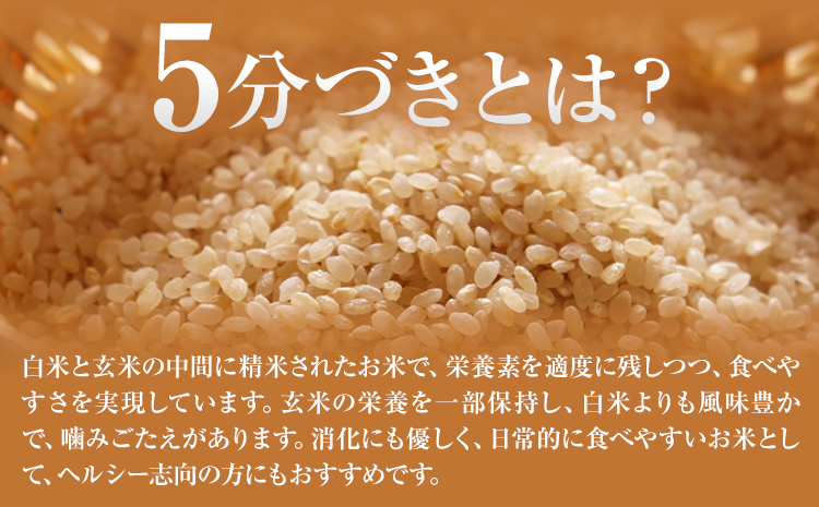 米 ヒノヒカリ 5分づき 5kg 内容量 1袋 5kg 合同会社くまもとごはん 《30日以内に出荷予定(土日祝除く)》 熊本県 菊池市 お米 分づき米 九州産 熊本県産 白米 無洗米 ひのひかり 送料無料