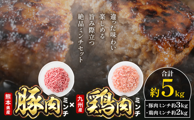 熊本県産 豚肉ミンチ 約3kg 九州産 鶏ミンチ 約2kg 計約5kg 植田商事有限会社 《90日以内に出荷予定(土日祝除く)》 熊本県 菊池市 ミンチ 豚肉 鶏肉 ハーブ鶏 お肉 熊本県産 九州産 国産 冷凍 送料無料