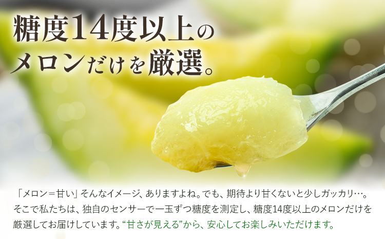 メロン 肥後グリーンメロン 大 2L ～ 3L サイズ 2玉 約1.6～2kg×2 MOTOYAMA358FARM 《2026年5月下旬-6月下旬頃出荷》 熊本県 菊池市 メロン 果物 フルーツ 九州産 国産 送料無料