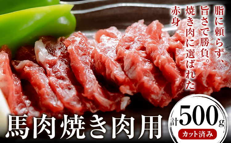 馬肉焼肉用 500g カット済 桜屋 《30日以内に出荷予定(土日祝除く)》 熊本県 菊池市 送料無料 肉 馬肉