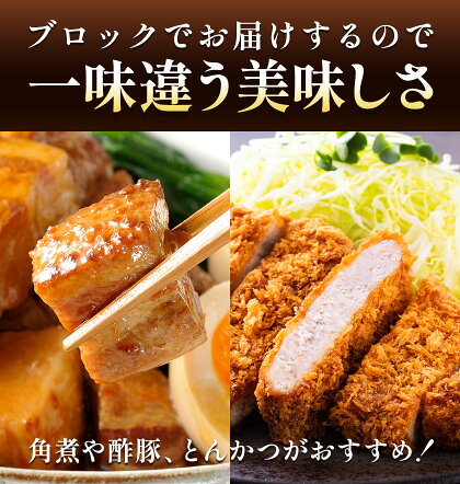 肥後あそび豚 ロースブロック 1kg×2パック 合計 2kg 《30日以内に出荷予定(土日祝除く)》熊本県 菊池市 ぶた ブタ 豚肉 肉 ブランド豚 ロース ブロック 国産 九州産 熊本県産 菊池市産 冷凍 送料無料
