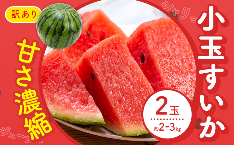 【先行予約】スイカ 訳あり 小玉すいか 2玉 約 2kg ～ 3kg M ～ 3L 混合 株式会社Foody’s 食彩たかみ 《2026年5月下旬-7月下旬頃出荷》 熊本県 菊池市 フルーツ 果物 スイカ すいか 訳あり 小玉 九州産 冷蔵 送料無料