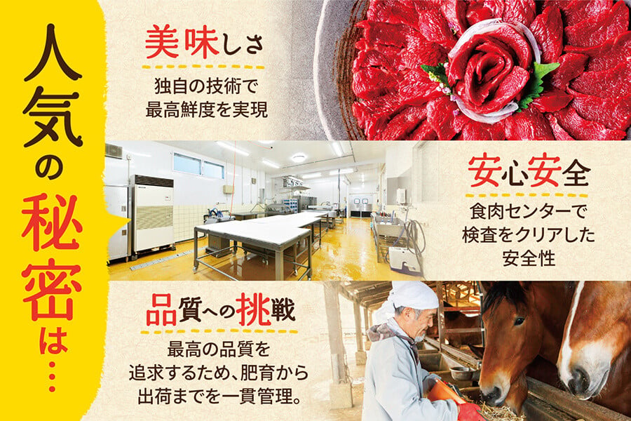 熊本 馬肉ユッケ 10人前 500g（50g×10パック）専用タレ付き 馬刺し 馬肉 肉 お肉