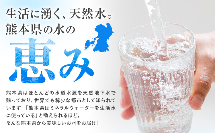 水 シリカ水 500ml × 48本 有限会社七城町特産品センター メロンドーム 《30日以内に出荷予定(土日祝除く)》 熊本県 菊池市 水 軟水 飲料 ドリンク 清涼飲料水 天然地下水 ペットボトル ミネラルウォーター 定期便 送料無料