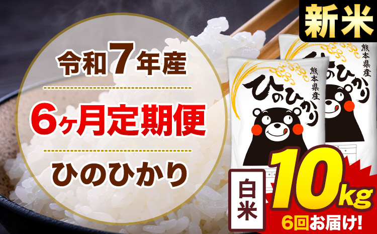 【6ヶ月定期便】新米 令和7年産 白米 10kg 米 ひのひかり《お申込み翌月から出荷》熊本県 菊池市 国産 熊本県産 白米 精米 無洗米 送料無料 ヒノヒカリ こめ お米