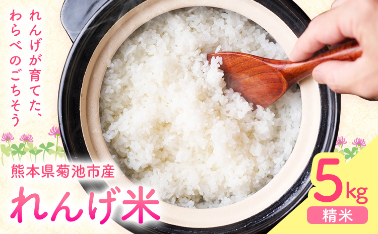辭頑悽逵瑚所豎蟶ら肇縺ョ繧後s縺堤アウ 5kg 縲30譌・莉・蜀縺ォ蜃コ闕キ莠亥ョ(蝨滓律逾晞勁縺)縲 邊セ邀ウ譁ケ豕 邊セ邀ウ 縺顔アウ 逋ス邀ウ 繝ャ繝ウ繧イ邀ウ 辭頑悽逵檎肇 荵晏キ樒肇 騾∵侭辟。譁