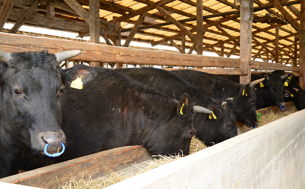 熊本県産A5等級和王 柔らか赤身焼肉 約600g(約300×2パック)タレ1本付き