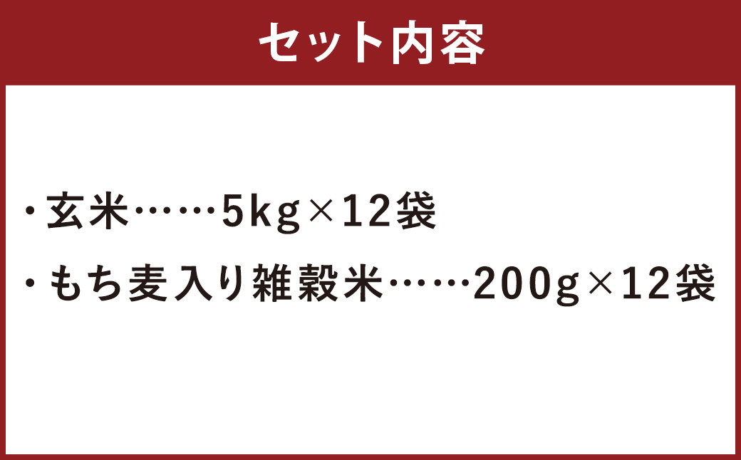 【定期便12ヶ月】熊本県菊池産 ヒノヒカリ 玄米 計60kg(5kg×12回) もち麦入り雑穀米 計2.4kg(200g×12回) 米 お米 残留農薬ゼロ 低温貯蔵