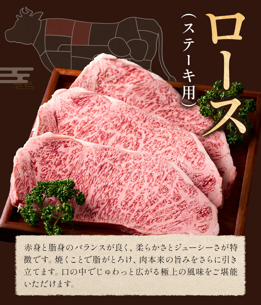 味彩牛 ロースステーキ 合計約400g 約200g×2枚 菊池地域農業協同組合(JA菊池まんまキッチン)《30日以内に出荷予定(土日祝除く)》熊本県 菊池市 ステーキ 牛肉 お肉 熊本県産 九州産 国産 冷凍 送料無料