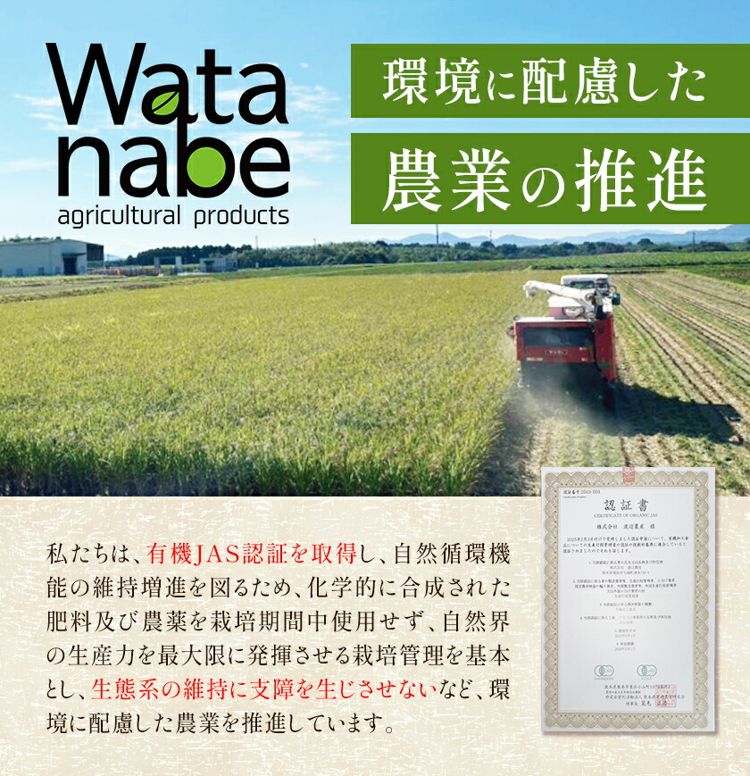 有機JAS小麦使用 全粒粉 合計3kg 1kg×3袋 《30日以内に出荷予定(土日祝除く)》熊本県 菊池市 小麦粉 ミナミノカオリ パンづくり 粉類 国産 九州産 熊本県産 送料無料