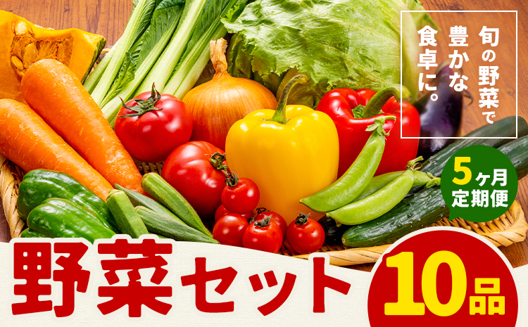 【定期便】 野菜 10品程度 計5回【メロンドーム】 定期便 5ヶ月お届け 詰め合わせ セット 国産 九州産 熊本県 菊池市 道の駅 送料無料《お申し込みの翌月から出荷》