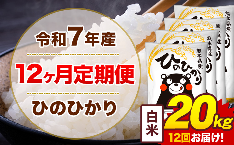 【12ヶ月定期便】令和7年産 白米 20kg 米 ひのひかり《お申込み翌月から出荷》熊本県 菊池市 国産 熊本県産 白米 精米 無洗米 送料無料 ヒノヒカリ こめ お米