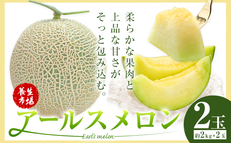 アールスメロン 約2kg×2玉 (約4kg)【養生市場】メロン 果物 フルーツ マスクメロン 九州産 熊本県産 送料無料 《2026年10月中旬-11月中旬頃出荷予定》