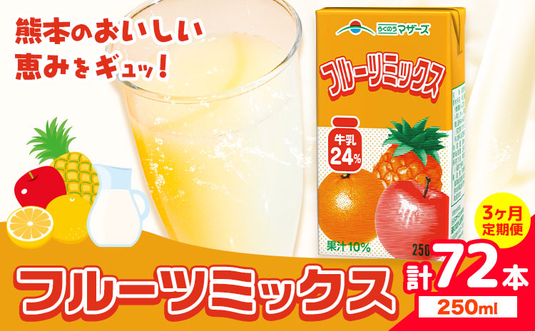 常温保存可能 【1ヶ月毎3回定期便】フルーツミックス 250ml×24本 計72本 合同会社たべたせいか《お申し込みの翌月から出荷》熊本県 菊池市 ミックスジュース らくのうマザーズ フルーツ牛乳 フルーツ ジュース 紙パック ジュース ドリンク