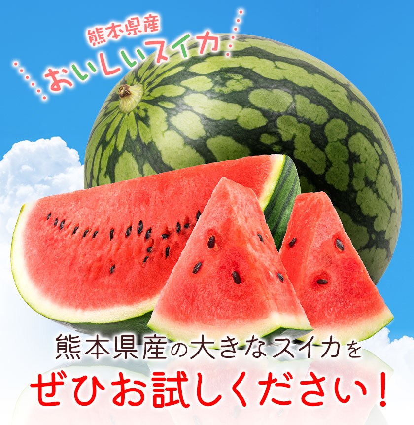 【先行予約】大玉すいか 1玉 約4kg 株式会社エフビーネット《5月上旬-7月中旬頃出荷》熊本県 菊池市 すいか スイカ 大玉 熊本県産 フルーツ