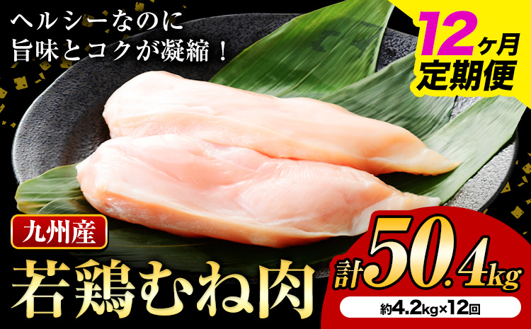 [12ヶ月定期便] 九州産若鶏ムネ肉 計50.4kg(600g×7袋×12回)鶏肉 お肉 ムネ肉 むね肉 小分け 冷凍 九州産 国産 熊本県 菊池市 送料無料[お申込み翌月から出荷]