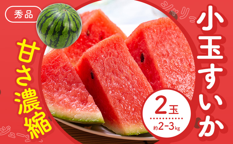 【先行予約】スイカ 小玉すいか 秀品 2玉 約 2kg ～ 3kg L ～ 3L 混合 株式会社Foody’s 食彩たかみ 《2026年5月下旬-7月下旬頃出荷》 熊本県 菊池市 フルーツ 果物 スイカ すいか 小玉 九州産 冷蔵 送料無料