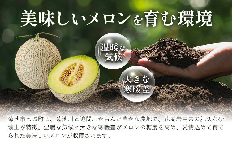 メロン 肥後グリーンメロン 大 2L ～ 3L サイズ 2玉 約1.6～2kg×2 MOTOYAMA358FARM 《2026年5月下旬-6月下旬頃出荷》 熊本県 菊池市 メロン 果物 フルーツ 九州産 国産 送料無料