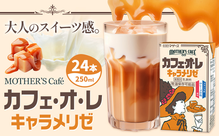 常温保存可能 カフェオレ キャラメリゼ 250ml×24本 1ケース 合同会社たべたせいか《30日以内に出荷予定(土日祝除く)》熊本県 菊池市 コーヒー牛乳 カフェ・オ・レ キャラメル 乳飲料 乳性飲料 らくのうマザーズ ドリンク 飲み物 飲料 セット 紙パック