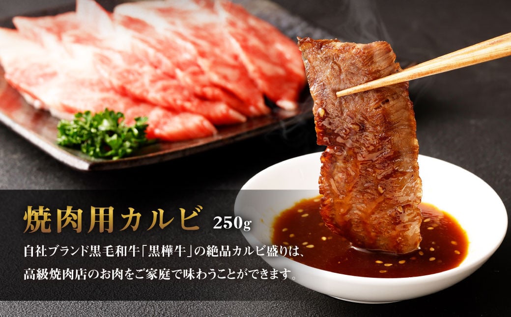 くまもと黒毛和牛 杉本本店 黒樺牛 A4~A5等級 焼肉用カルビ 合計250g