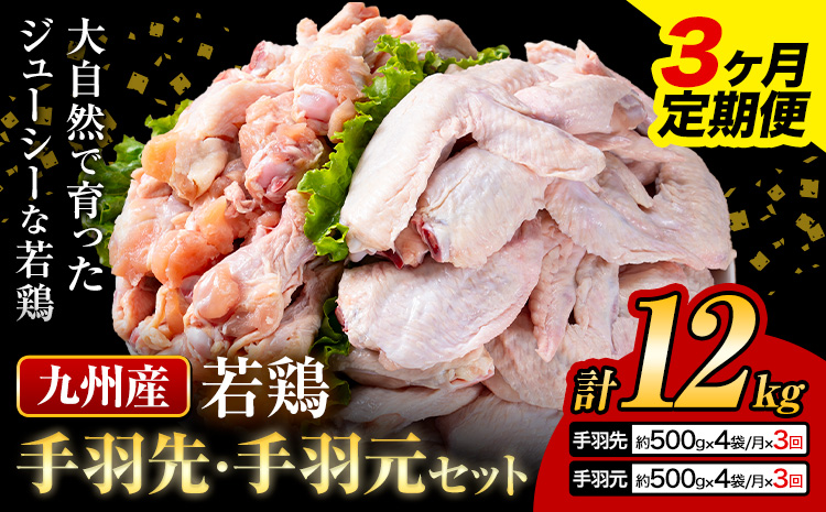 【3ヶ月定期便】 九州産 手羽先（500g×4袋）・手羽元（500g×4袋）セット 計4kg 鶏肉 肉 鶏 手羽 唐揚げ 詰め合わせ セット 冷凍 九州 国産 熊本県 菊池市 送料無料《お申込み翌月から出荷》