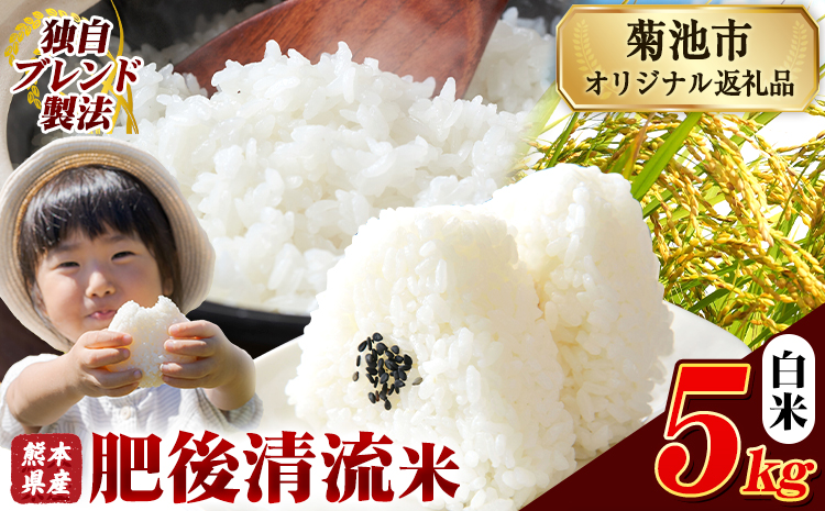 熊本県産 肥後清流米 白米 5kg ブレンド米 熊本県産 ふるさと納税 精米 米 こめ ふるさとのうぜい コメ お米 おこめ《7-14日以内に出荷予定(土日祝除く)》