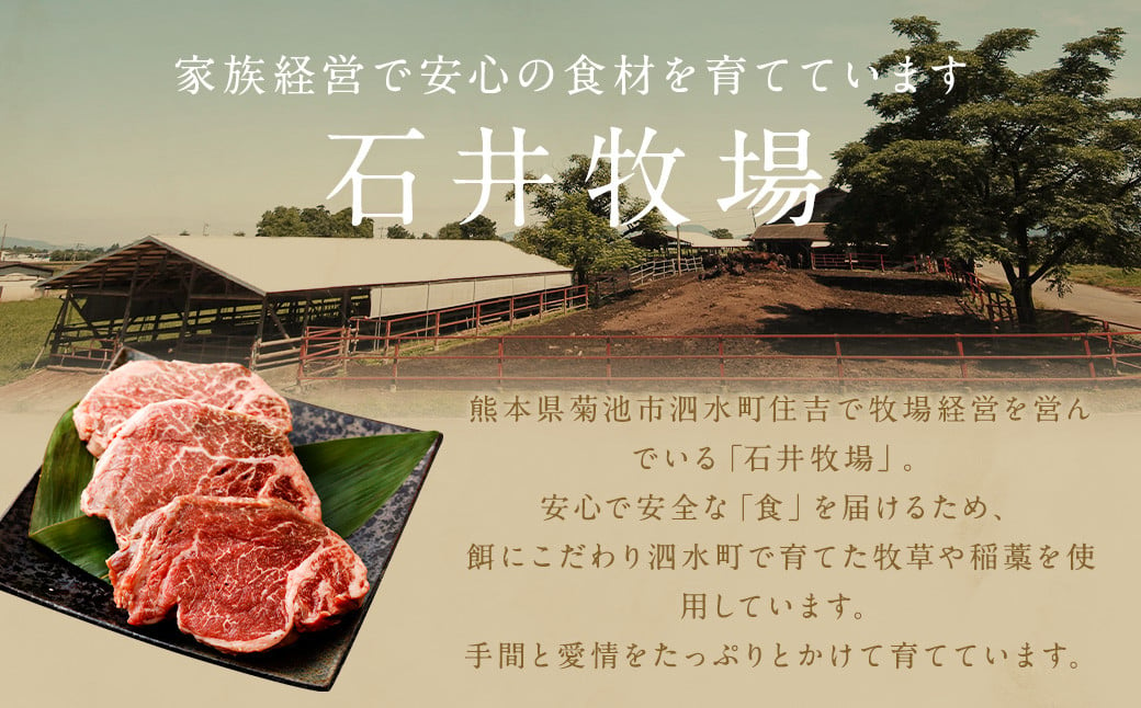 【2025年1月発送】熊本県産 黒毛和牛 ヒレ・シャトーブリアン ステーキ 計約450g（150g×3枚）国産 牛肉