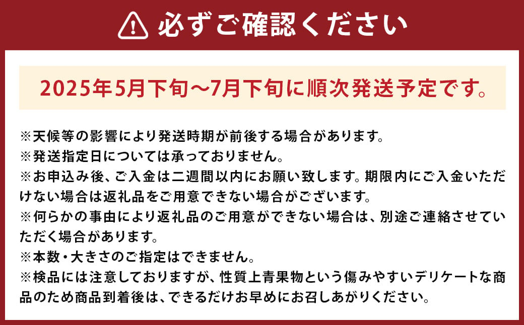 大玉すいか 秀品 1玉 約6kg〜9kg 【2025年5月下旬～7月下旬発送予定】