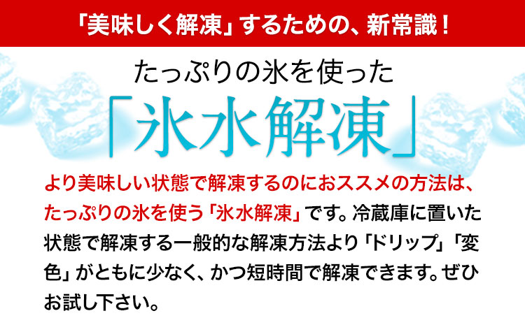 7種のバラエティ馬刺しセット 600g《10月上旬-12月末頃出荷》赤身 さし 上ロース たてがみ コーネ 馬トロ 馬ひも レバー ハツ 国産 熊本肥育 冷凍 生食用 肉 絶品 牛肉よりヘルシー 馬肉 熊本県 菊池市 送料無料