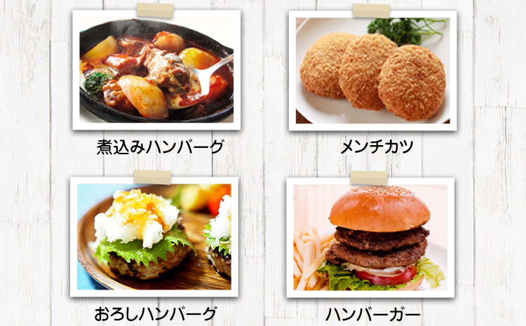 手作りハン馬ーグ 100g×10個 《30日以内に出荷予定(土日祝除く)》 馬肉100%配合！【熊本肥育】ハンバーグ たっぷり 冷凍 お中元 肉 お手軽 お取り寄せ