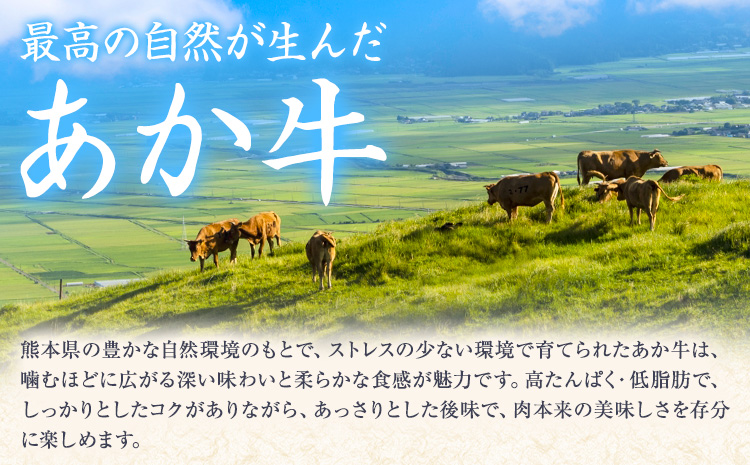 くまもと あか牛 100％ 餃子 20個入り×3(計60個) 牛肉 《30日以内に出荷予定(土日祝除く)》