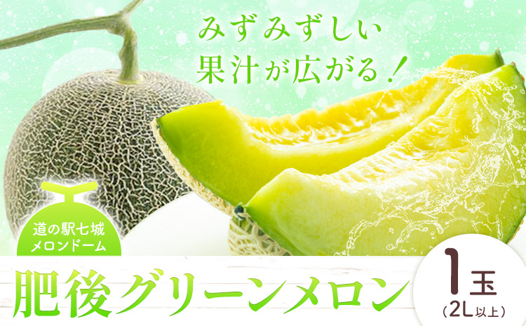 肥後グリーンメロン 1玉 2L以上【メロンドーム】 メロン 果物 フルーツ 九州産 熊本県産 送料無料【2026年5月中旬頃より出荷】【先行予約】