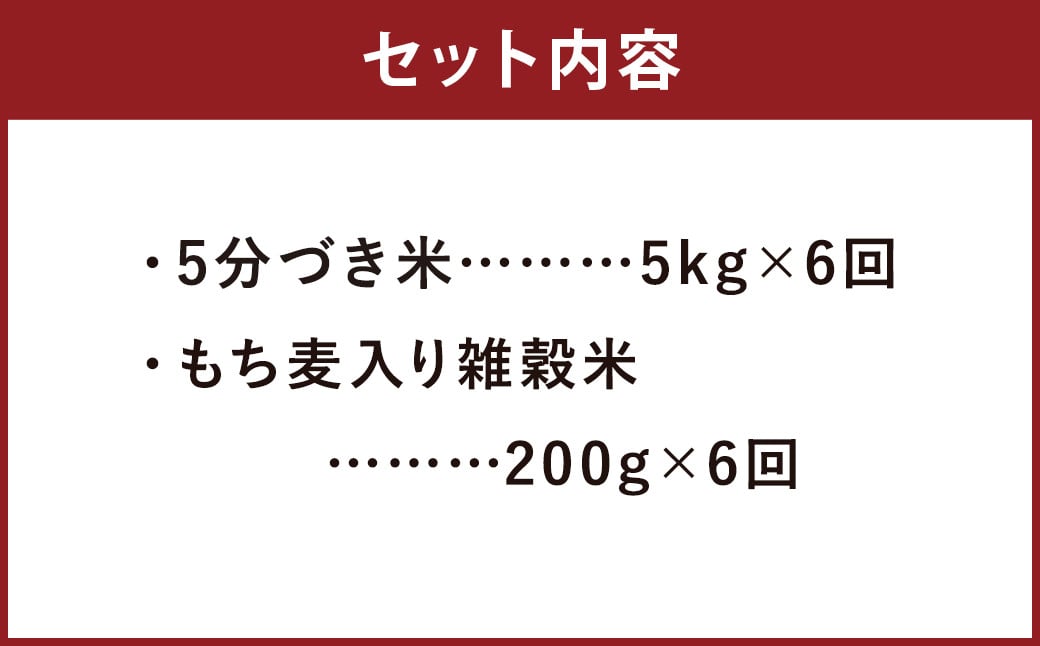 【定期便6ヵ月】熊本県菊池産 ヒノヒカリ 5分づき米 5kg もち麦入り雑穀米 200g 計31.2kg