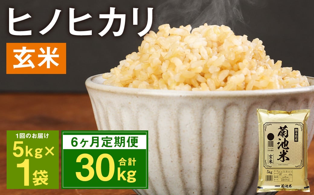 【6ヶ月定期便】熊本県菊池産 ヒノヒカリ 5kg×6回 計30kg 玄米 米 お米