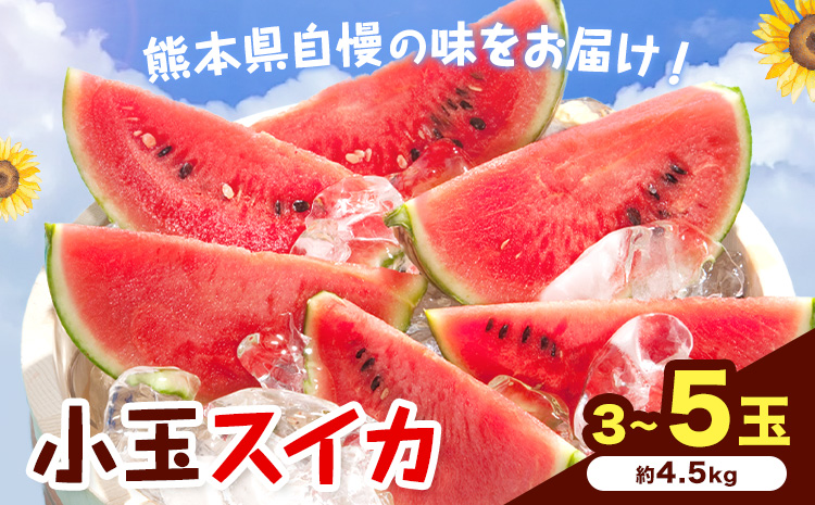 【先行予約】小玉スイカ 3〜5玉 約4.5kg 日本フルーツ株式会社 《4月下旬-7月下旬頃出荷》 こだますいか 西瓜 すいか フルーツ 果物 くだもの 旬 熊本県 菊池市 熊本県産 くまもと