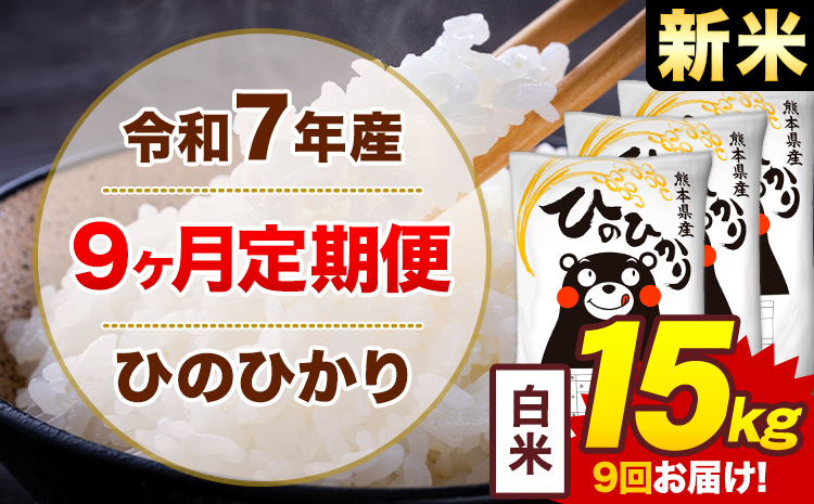 【9ヶ月定期便】米 ひのひかり 白米 定期便 15kg 《お申込み翌月から出荷》熊本県 菊池市 国産 熊本県産 白米 精米 送料無料 ヒノヒカリ こめ お米