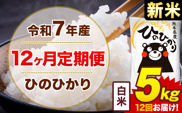 【12ヶ月定期便】新米 令和7年産 白米 5kg 米 ひのひかり《お申込み月の翌月から出荷開始》熊本県 菊池市 国産 熊本県産 白米 精米 無洗米 送料無料 ヒノヒカリ こめ お米