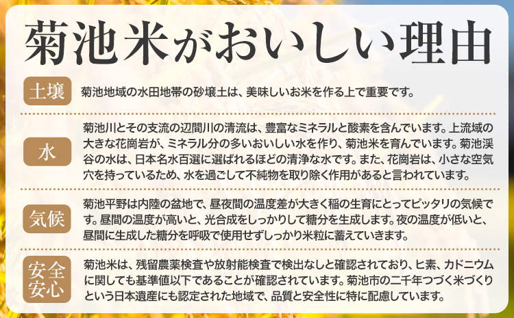 【3ヶ月定期便】熊本県産 菊池米 玄米 20kg 1袋5kg 米 お米 令和7年産 九州産 熊本県産  送料無料《お申込み翌月に出荷予定》玄米 米