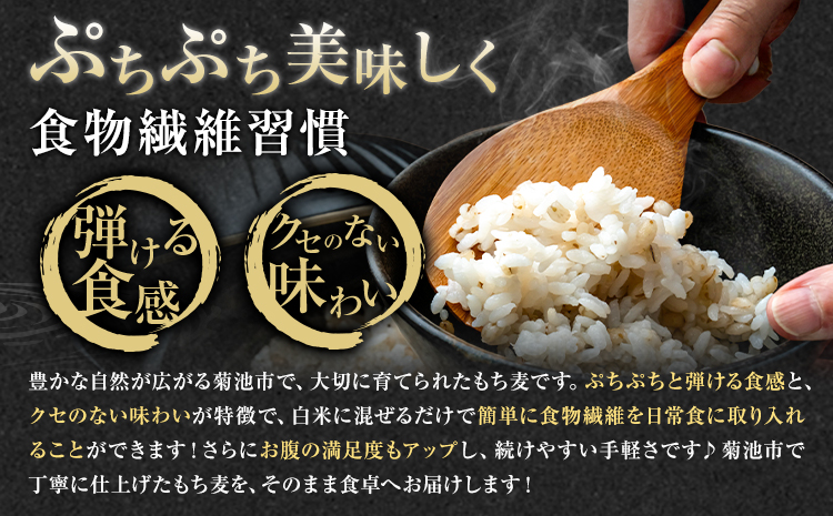 七城物語 高野さんちのもち麦 計1kg (200g×5パック) 株式会社有機農場《30日以内に出荷予定(土日祝除く)》熊本県 菊池市 熊本県菊池産 もち麦 モチ麦 ダイシモチ 小分け チャック付き 国産 九州産 熊本県産 送料無料