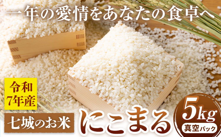 七城のお米 にこまる 5kg 真空パッケージ 白米 精米 令和7年産 堀田農場《30日以内に出荷予定(土日祝除く)》お米 熊本県 菊池市 熊本県産 九州産 送料無料