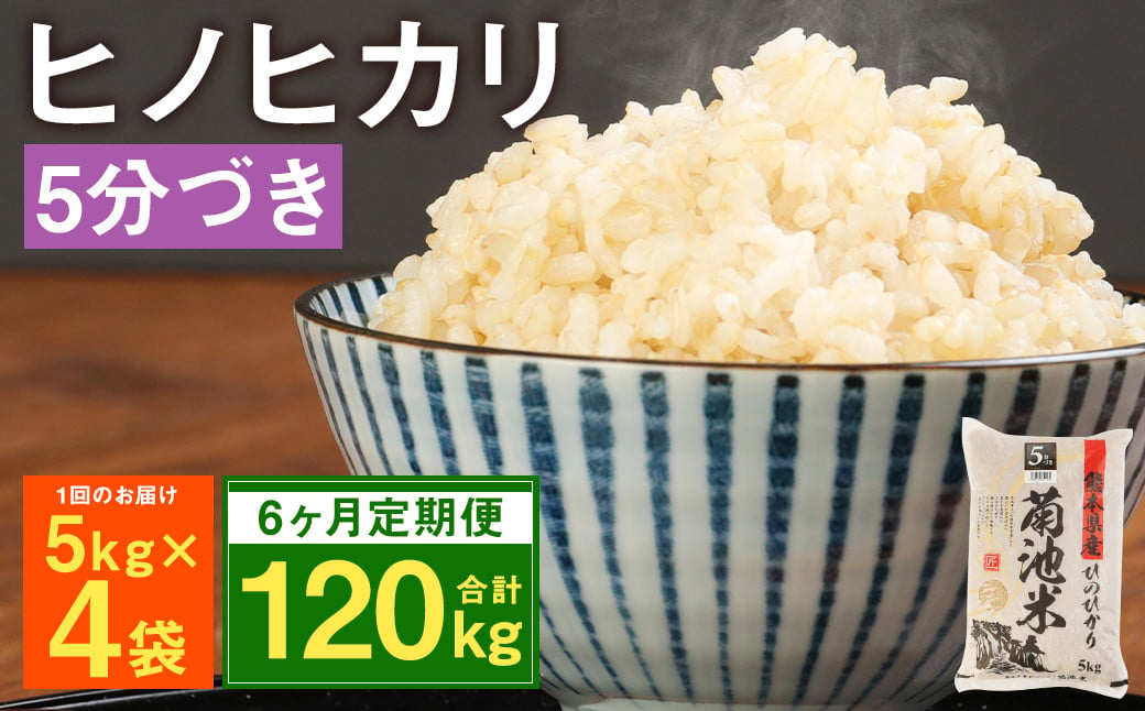 【6ヶ月定期便】熊本県菊池産 ヒノヒカリ 5kg×4袋×6回 計120kg 5分づき米 お米 分づき米