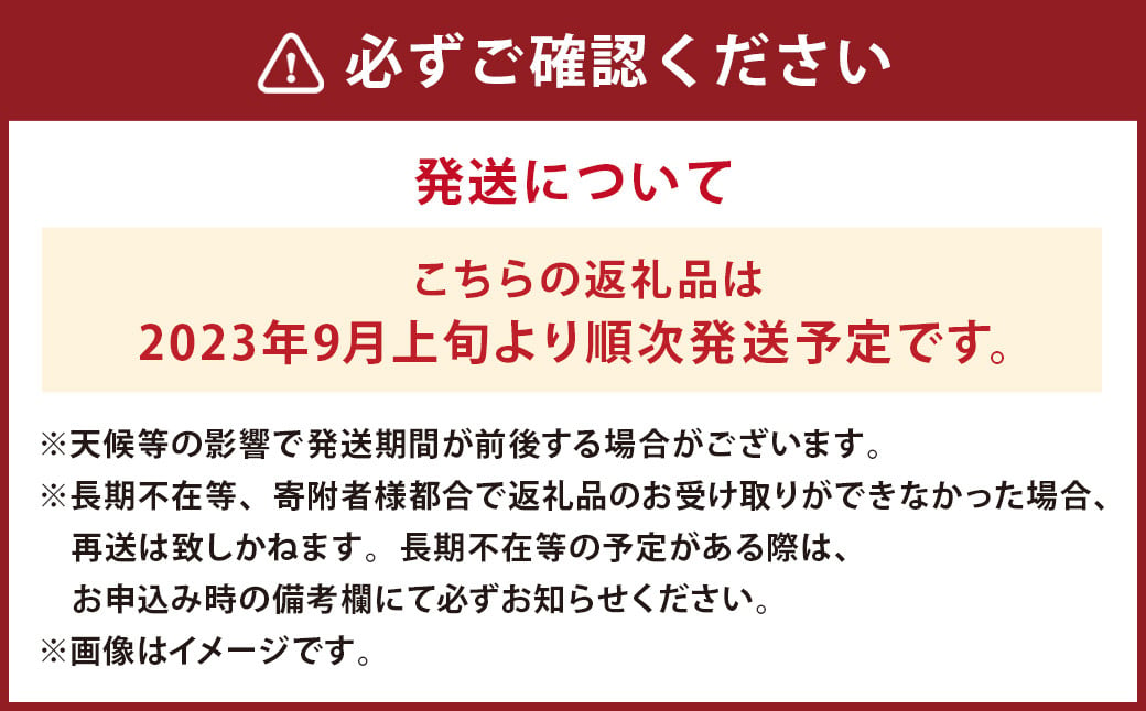 【2023年9月上旬より順次発送予定】栗 2kg(2L〜Ｍサイズ) くり