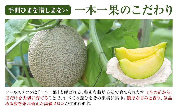 アールスメロン 1玉 2L以上【メロンドーム】 メロン 果物 フルーツ マスクメロン 九州産 熊本県産 送料無料《7月中旬-11月上旬頃出荷》