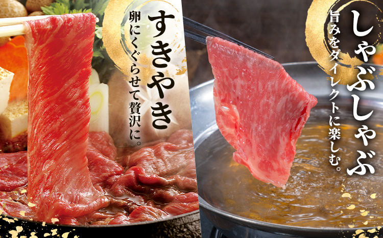 熊本あか牛 肩ロース 約500g 合同会社たべたせいか《30日以内に出荷予定(土日祝除く)》熊本県 菊池市 肉 牛肉 お肉 和牛 あか牛 ロース スライス すき焼き しゃぶしゃぶ 熊本県産 冷凍 送料無料